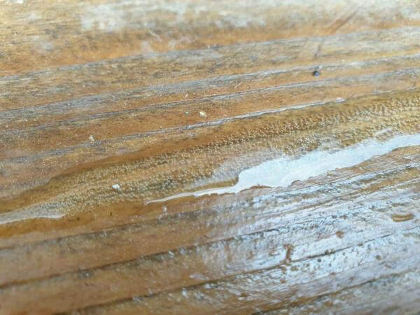 Antrirutschband auf Holz anbringen